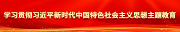 鸡吧操大B学习贯彻习近平新时代中国特色社会主义思想主题教育